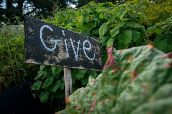 New Rules for Deducting Charitable Contributions For 2026 thumbnail